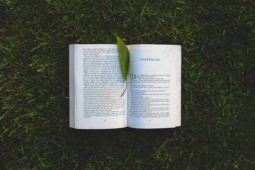 Photograph of an open book resting on top of grass, with a leaf as a bookmark