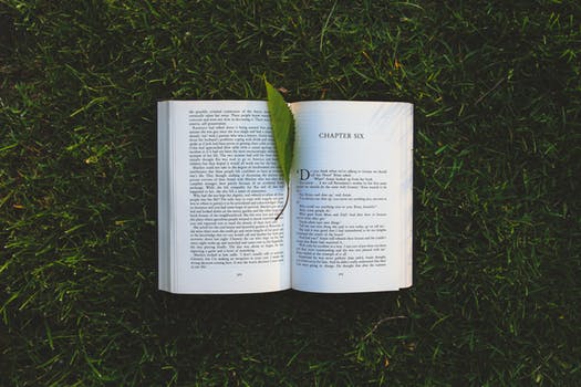 Photograph of an open book resting on top of grass, with a leaf as a bookmark Photograph of an open book resting on top of grass, with a leaf as a bookmark