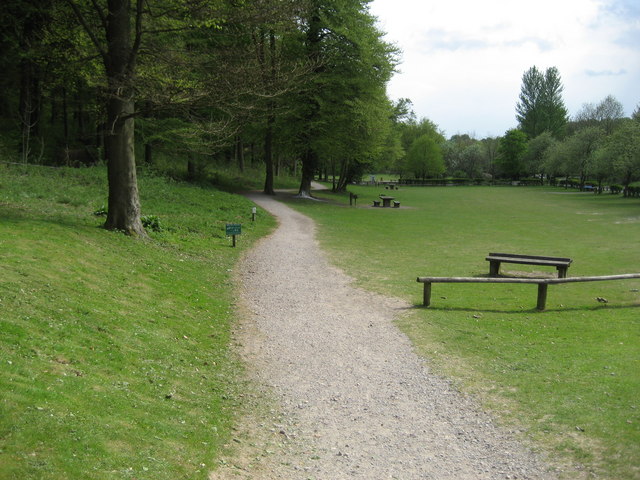 Queen Elizabeth Country Park, path leading into woodland